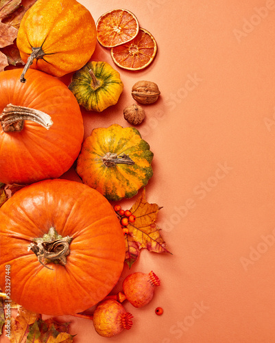 Multi-colored fall pumpkins