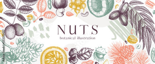 Vector nuts banner in college style. Vintage nuts sketched border. Healthy food background with branches, plants, nutshells hand-drawings and abstract shapes. Realistic botanical illustrations