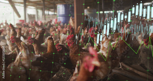 Image of financial data processing over chickens at farm
