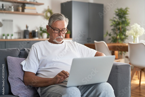 Senior caucasian man sitting at couch and using laptop