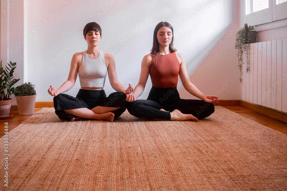 Friends meditating with eyes closed sitting in lotus position doing yoga at home Friends meditating with eyes closed sitting in lotus position doing yoga at home