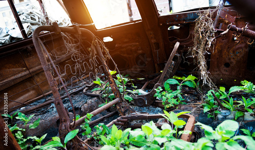 Old rusty abandoned car in overgrown grass