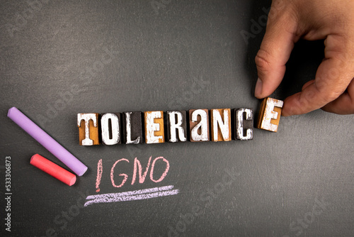 Tolerance and Ignorance concept. Text and pieces of chalk on a dark chalkboard