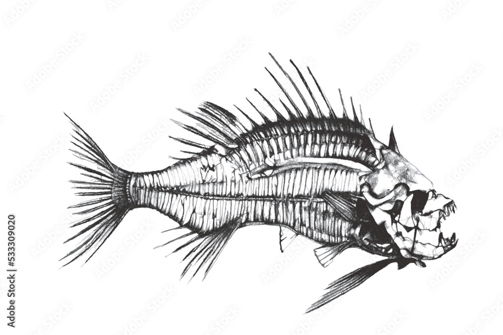 Obraz premium Fish skeleton. Fantastic Sea monster. Doodle sketch. Vector illustration. Isolated on white background.