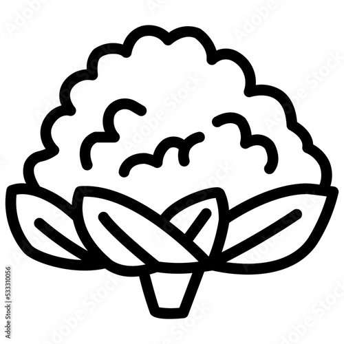 cauliflower vegetable icon