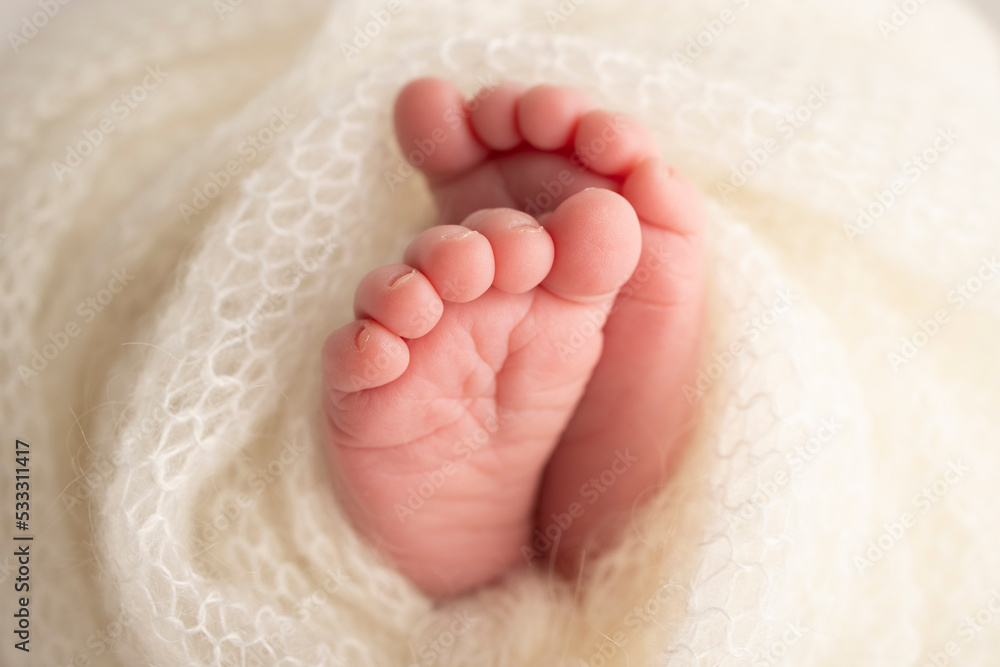 The tiny foot of a newborn. Soft feet of a newborn in a white woolen blanket. Close up of toes, heels and feet of a newborn baby. Studio Macro photography. Woman's happiness. The tiny foot of a newborn. Soft feet of a newborn in a white woolen blanket. Close up of toes, heels and feet of a newborn baby. Studio Macro photography. Woman's happiness.