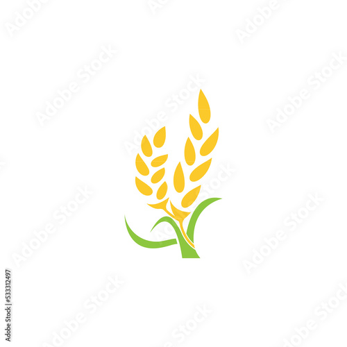Agriculture wheat Grain vector icon design