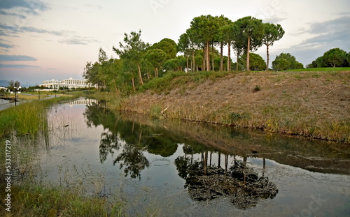 landscape with trees and river photo