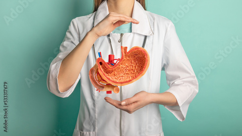 Foto Female doctor with a stethoscope is holding mock stomach in the hands