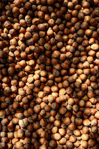 Photo of a hazelnut. Hazelnut background. Texture of nuts