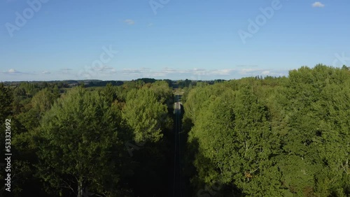 Aerial: the old Prussian viaduct in Rominta forest
 photo