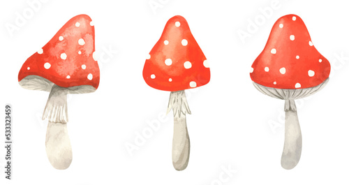 Set watercolor Fly agaric mushroom. Hand drawn poison fungi amanita muscaria. Red big fly agaric with white speckled. A poisonous dangerous mushroom for making potions photo