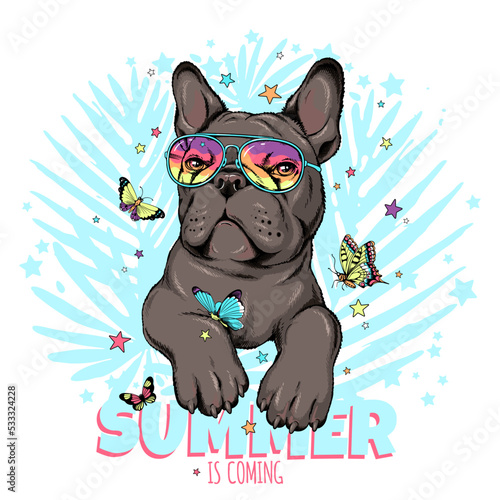Cute french bulldog with butterflies.Summer is coming  illustration. Stylish image for printing on any surface