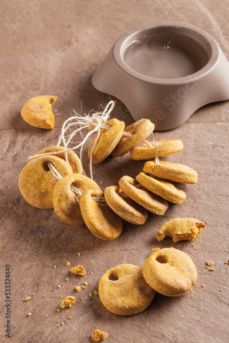 Photography pumpkin and cinnamon cookies for dogs