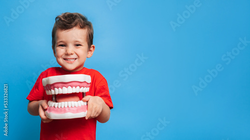 A smiling boy with healthy teeth holds a large jaw in his hands on a blue isolated background. Oral hygiene. Pediatric dentistry. Prosthetics. Rules for brushing teeth. A place for your text. photo