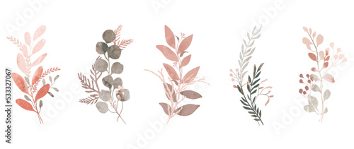 Set of watercolor botanical element vector. Autumn foliage collection of leaf branch  eucalyptus leaves  flowers  berry  pine leaf. Elegant fall collection for wedding  invitation  decorative  card.