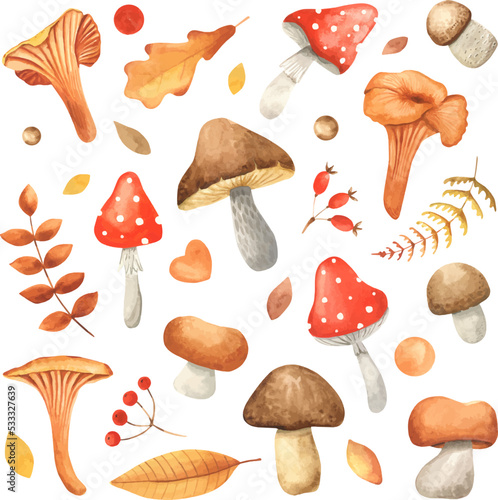 Set of watercolor vintage mushrooms isolated on white. Fall harvest forest mushrooms. Natural autumn botanical collection. Vegetarian food
