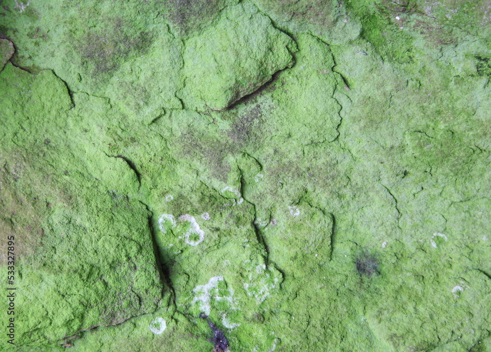 stone texture background. stone texture background.