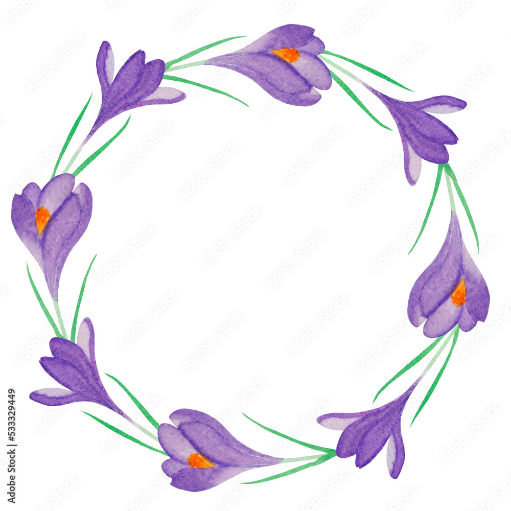 Colorful illustration, wreath with watercolor crocus flowers, green leaves on a white background.