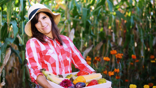 smiling female farmer in plaid shirt, gloves and hat holds a box with different fresh vegetables, harvest. background of cornfield, on a farm, vegetable garden, sunny summer day. High quality photo