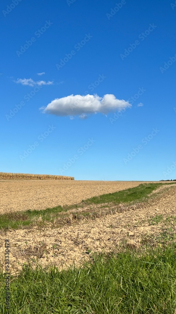 Eine einzelne Wolke über den Feldern. Regen ist nicht in Sicht, der Himmel ist blau. Leben auf dem Land, Landwirtschaft, Bayern