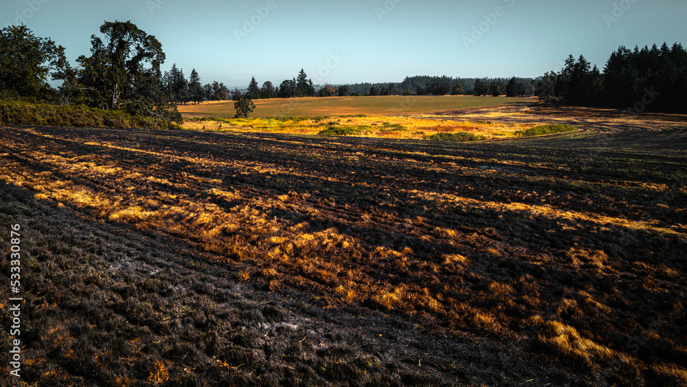 Wildfire, burnt agricultural fields, in autumn near Silver Falls State Park in Oregon