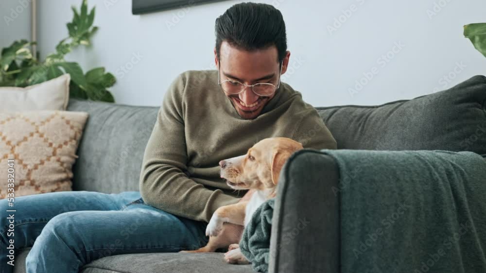 Happy, relax and man bonding with dog on a sofa, playing and showing affection for his puppy in a living room. Cheerful, loving and asian male enjoying time with his pet on a couch, playful together Happy, relax and man bonding with dog on a sofa, playing and showing affection for his puppy in a living room. Cheerful, loving and asian male enjoying time with his pet on a couch, playful together