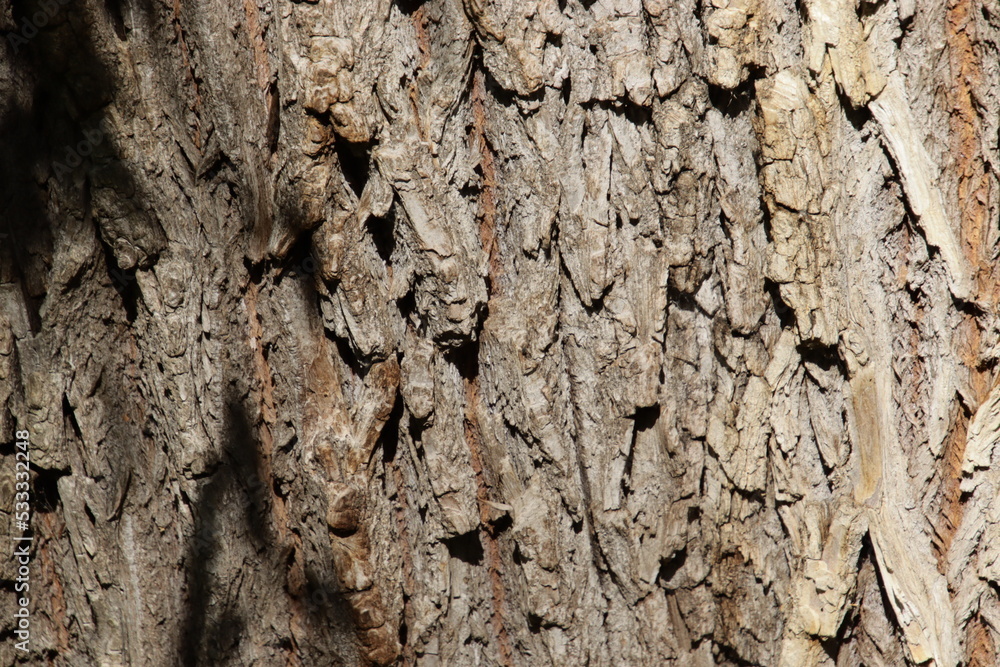 texture texture
