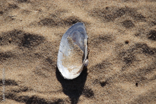 a pair of shoes on the beach