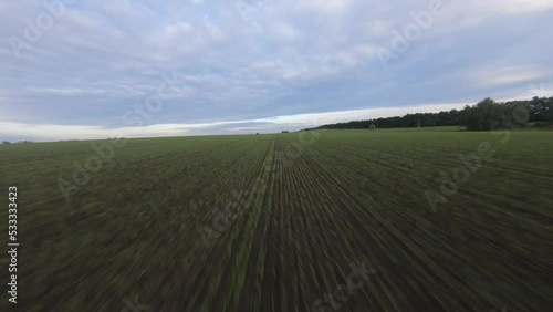 fpv drone flight over a green field at sunset low grass damp grass quickly flies close to the ground
