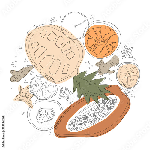 Round of vegetables  and fruits vector illustration in scandinavian style. Linear graphic. Vegetables and fruits background. Healthy food isolated on white background.