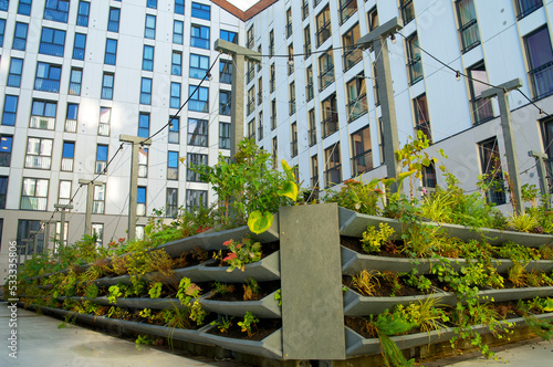 Green vertical green facade garden in full bloom for climate adaptation photo