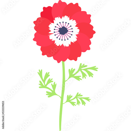 animone flower blossom floral clipart png photo