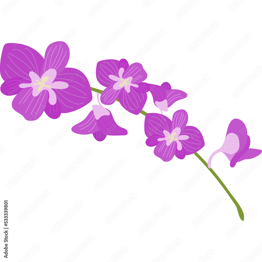 Fototapeta premium orchid flower blossom floral clipart png