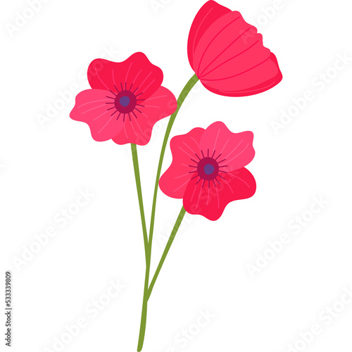poppy flower blossom floral clipart png © swiitery