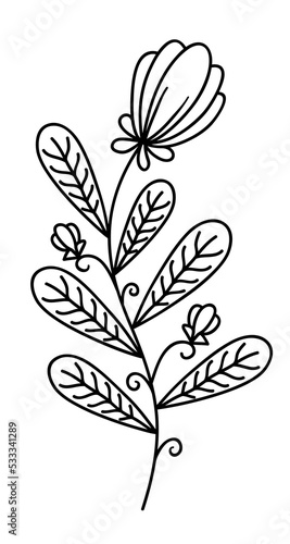 Floral line art decoration with black thin line, PNG with transparent background