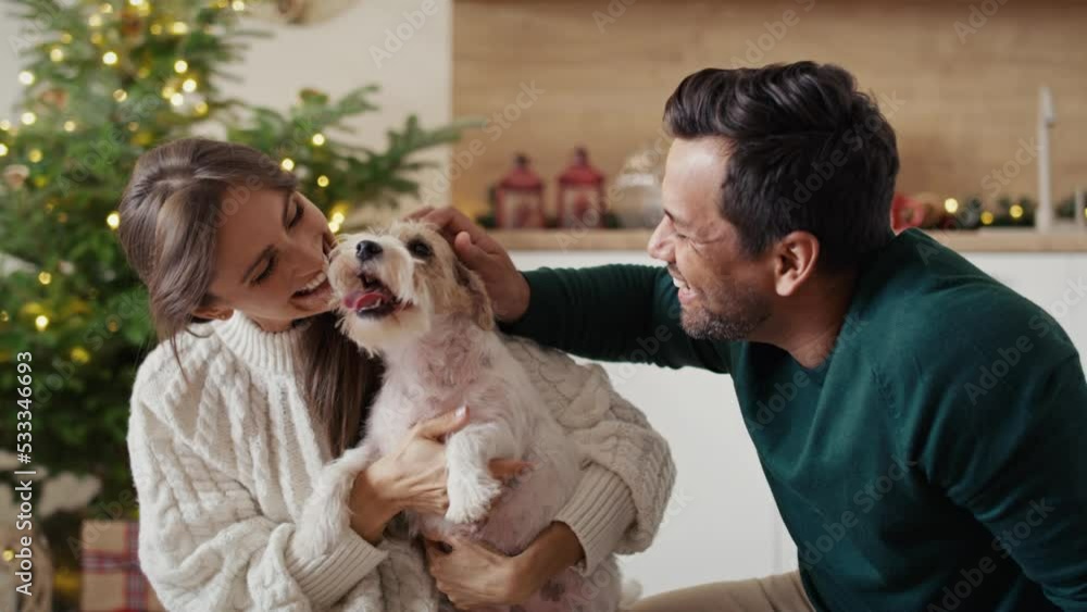 Multi ethnicity couple bonding with dog at Christmas time. Shot with RED helium camera in 8K. Multi ethnicity couple bonding with dog at Christmas time. Shot with RED helium camera in 8K.
