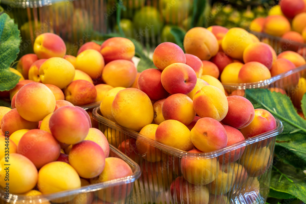 Apricots on the market counter. Pile of ripe apricots