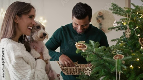 Couple with dog decorating Christmas tree at home. Shot with RED helium camera in 8K. 