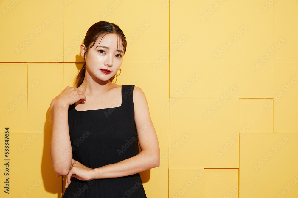 黒いワンピースを着た若い女性のシックなファッションポートレート 黒いワンピースを着た若い女性のシックなファッションポートレート