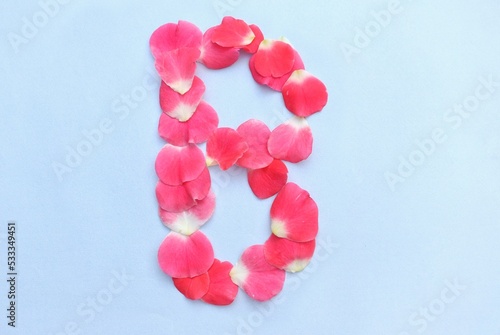 B Capital English Letter Created with Pink Rose Flower Petals on Bright Background in Horizontal Orientation, English Alphabet