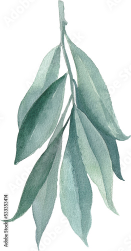 Watercolor nature green leaves