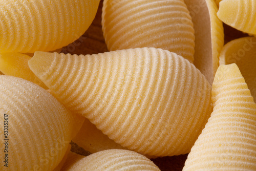 group of short durum wheat pasta