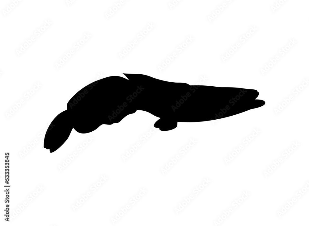 Snake Head Fish (freshwater perciform fish family Channidae) Silhouette for Logo, Pictogram or Graphic Design Element. Vector Illustration 