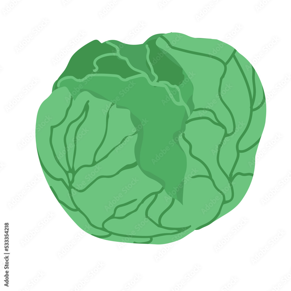 Cabbage with big bright green leaves. Fresh and healthy food. Vegetarian nutrition. Organic ingredient for salad. Flat vector icon. Cabbage with big bright green leaves. Fresh and healthy food. Vegetarian nutrition. Organic ingredient for salad. Flat vector icon.