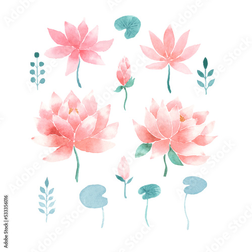 Watercolor pink lotus flowers and leafs, vector set of design elements on white background, symbol of India, oriental practices, yoga, ayurveda, meditation and buddhist culture