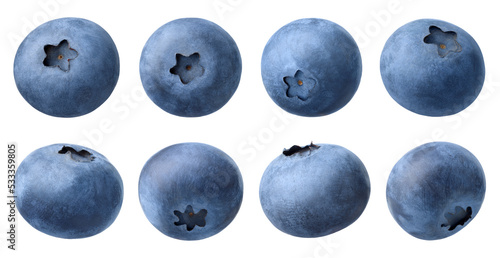 Canvastavla Collection or set of various fresh ripe blueberries on white background