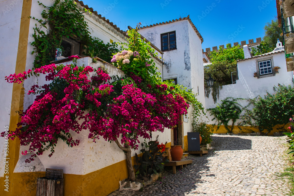 Óbidos is one of the most beautiful and picturesque towns in Portugal, which is surrounded by its impressive walls and dominated by its imposing castle