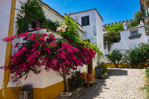 Fototapeta Naklejka Na Ścianę i Meble -  Óbidos is one of the most beautiful and picturesque towns in Portugal, which is surrounded by its impressive walls and dominated by its imposing castle
