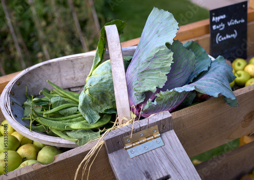 Foto A wooden cate, basket filled with runner beans, cabbage and ripe green cooking apples, the produce of a vegetable garden in England, UK